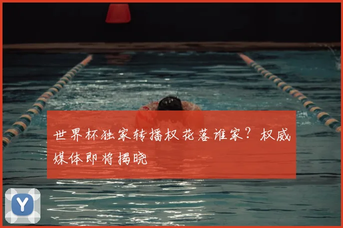 世界杯独家转播权花落谁家?权威媒体即将揭晓
