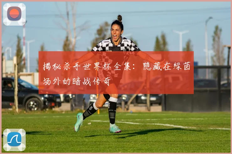 揭秘杀手世界杯全集:隐藏在绿茵场外的暗战传奇