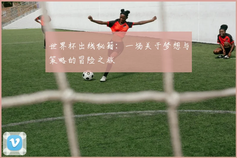 世界杯出线秘籍:一场关于梦想与策略的冒险之旅