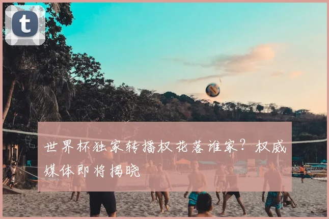世界杯独家转播权花落谁家?权威媒体即将揭晓